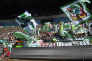 07/08 Bundesliga | SV Werder Bremen - MSV Duisburg