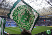 13/14 Bundesliga | FC Schalke 04 - SV Werder Bremen