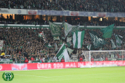 14/15 Bundesliga | SV Werder Bremen - FC Schalke 04