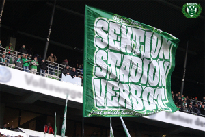 14/15 Bundesliga | SV Werder Bremen - VfL Wolfsburg