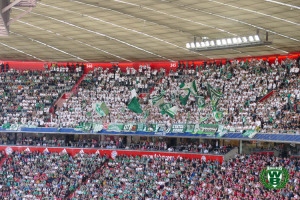 18/19 Bundesliga | FC Bayern München - SV Werder Bremen