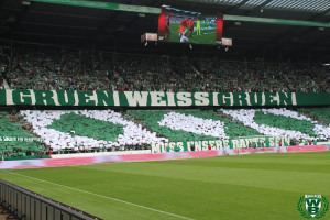 18/19 Bundesliga | SV Werder Bremen – 1. FC Nürnberg