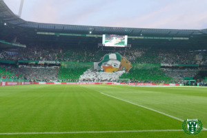 18/19 DFB-Pokal | SV Werder Bremen – FC Bayern München