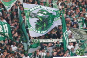 23/24 Bundesliga | SV Werder Bremen - 1. FC Köln