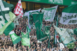 23/24 Bundesliga | SV Werder Bremen - '1899' Hoffenheim
