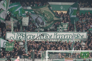 24/25 Bundesliga | SV Werder Bremen - 1. FSV Mainz 05